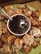 Fried Cheesecake w/Blackberry Wine Drizzle